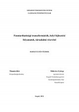 Fenntarthatósági transzformációk, helyi fejlesztési folyamatok, társadalmi részvétel - Habilitációs tézisek Fenntarthatósági transzformációk, helyi fejlesztési folyamatok, társadalmi részvétel - Habilitációs tézisek